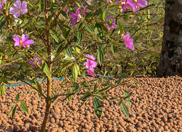 4 jardins decorados com Argila Expandida CINEXPAN