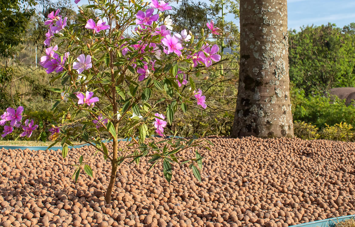 Foto: Aplicações para Paisagismo (2)