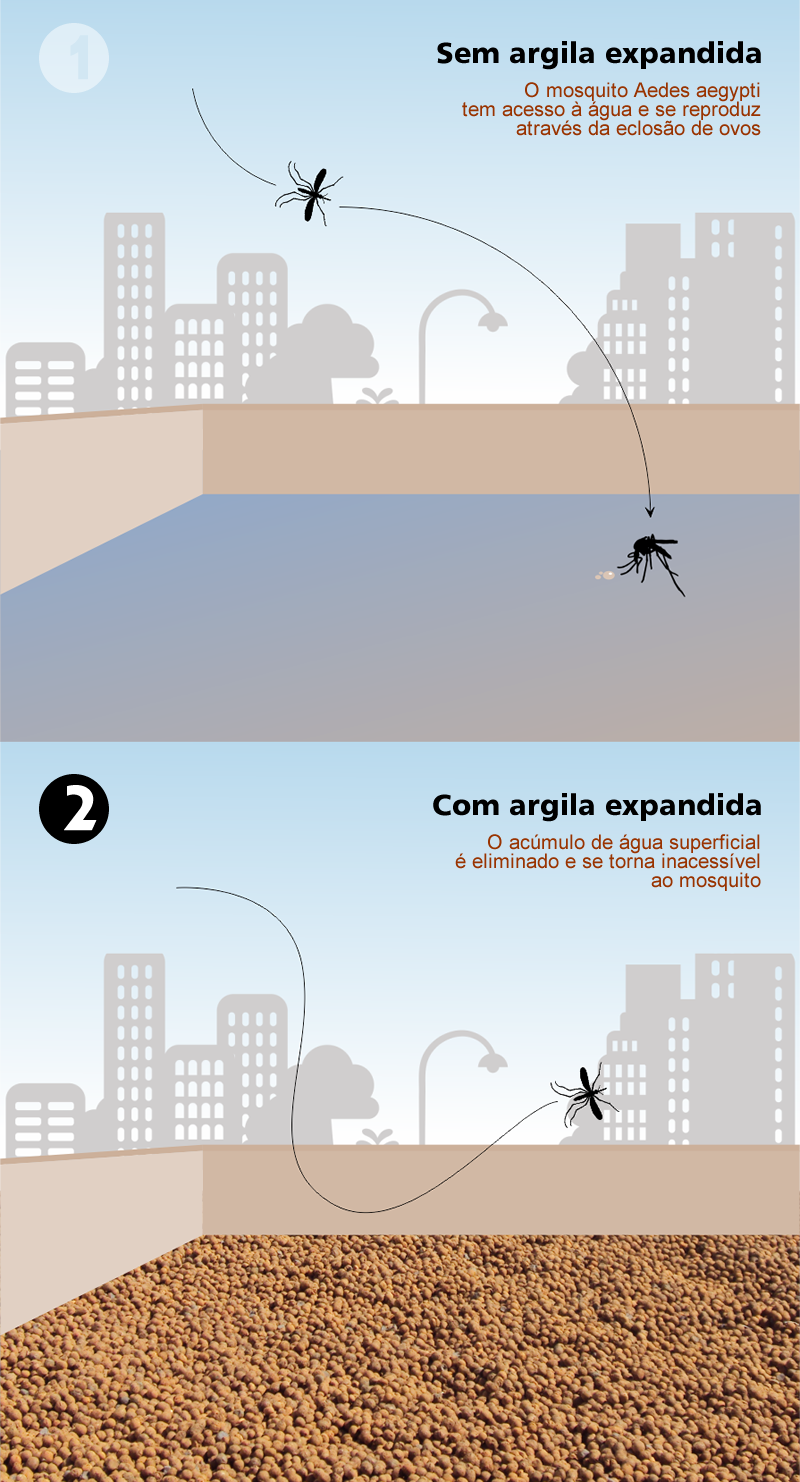 Combate ao Mosquito da Dengue Combate ao Mosquito da Dengue