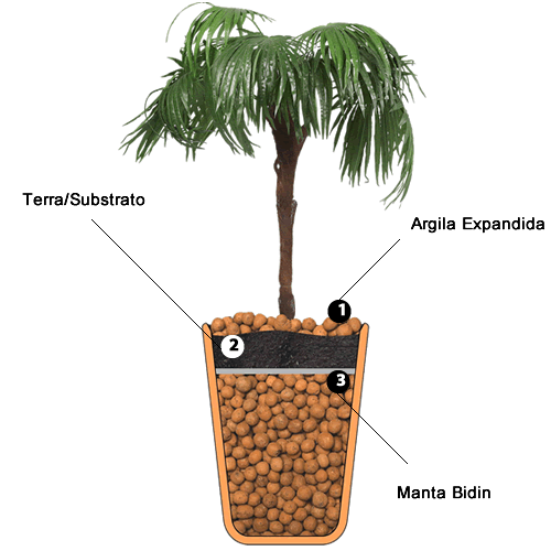 Ilustração (vaso)