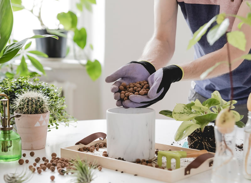 Em uma sala, um homem branco está de pé de frente para uma mesa. Ele está realizando o plantio de um cacto. À sua volta há outros vasos de plantas.